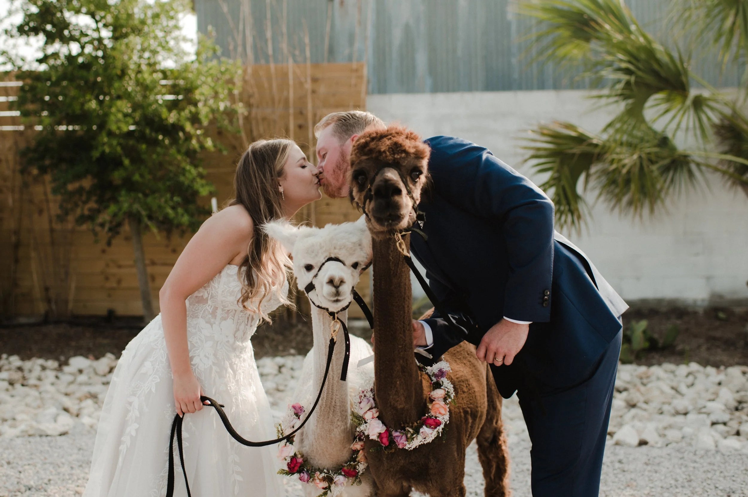 Weddings