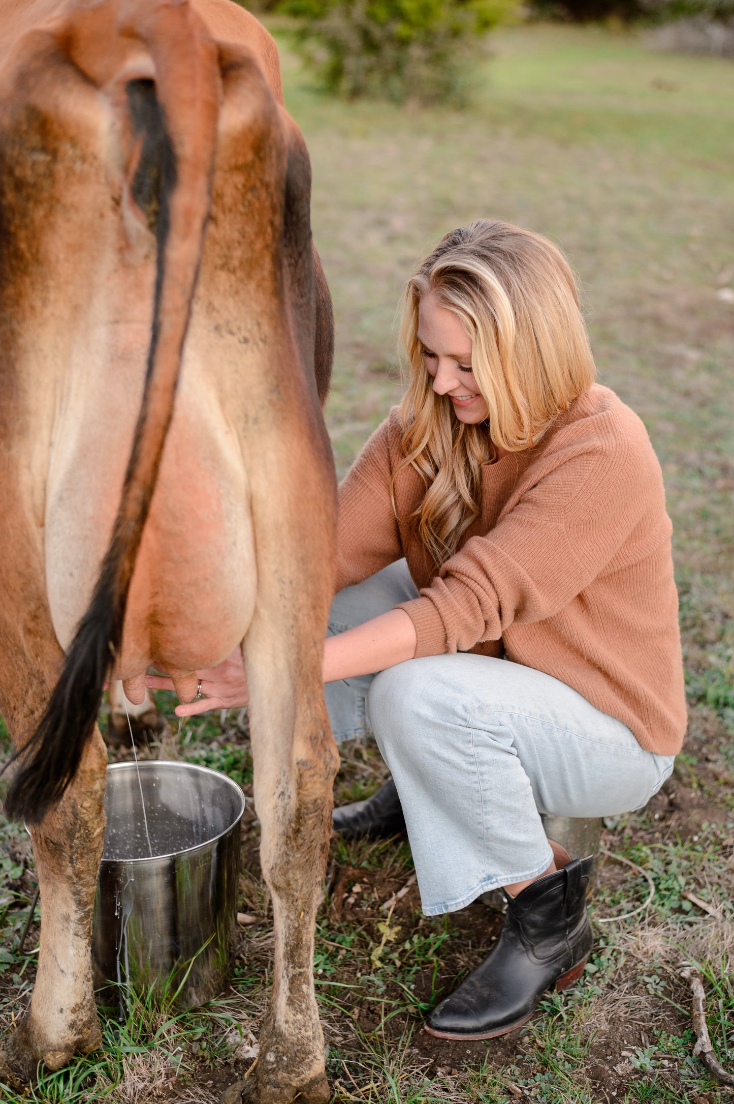 Raw Milk Herdshare Boarding Fee
