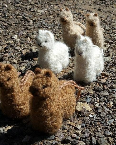 Alpacadorable Hand Made Baby Alpaca Ornaments: Rainbow / 5 inch