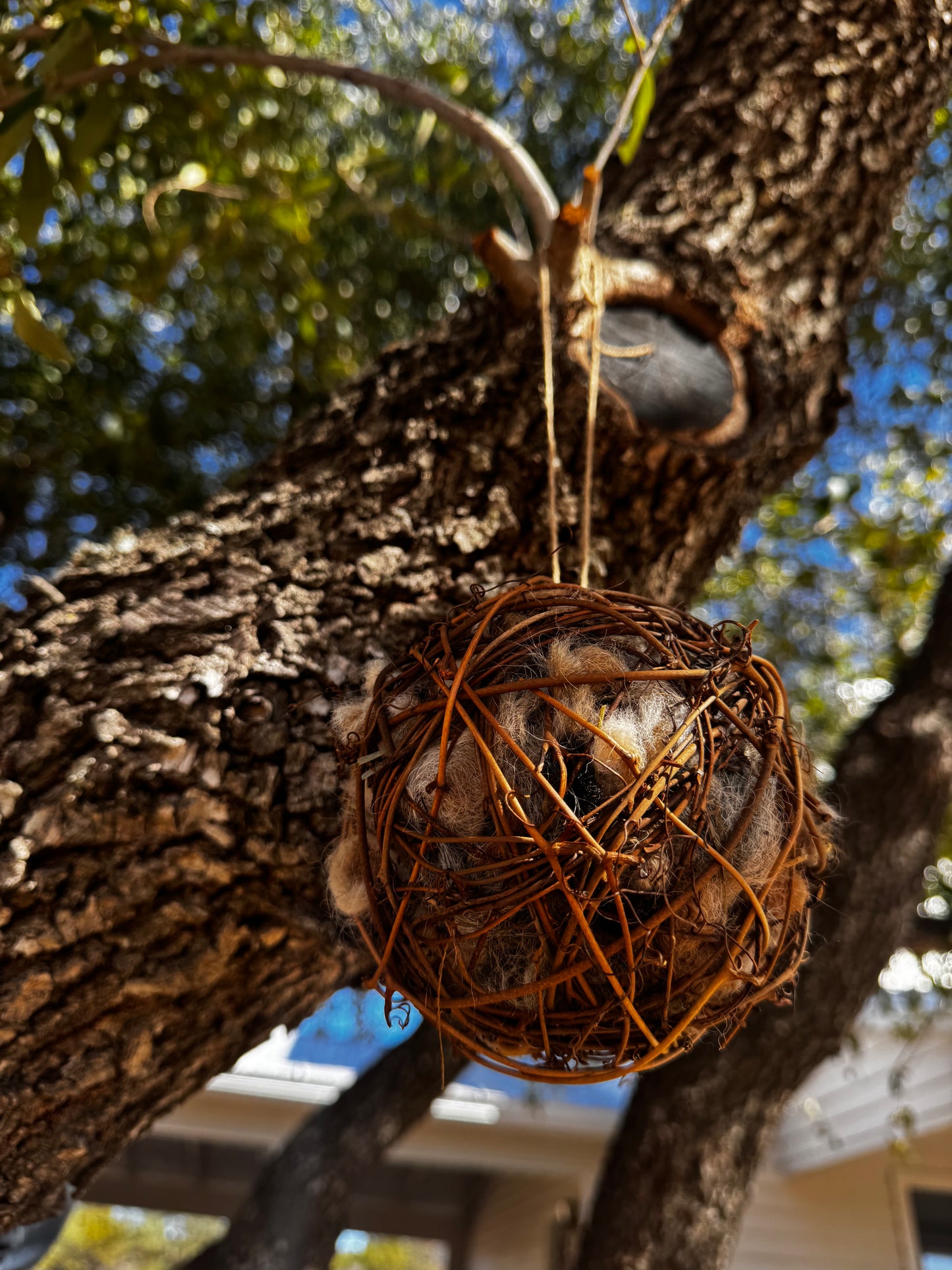 Alpaca Fiber Bird Nesting Ball